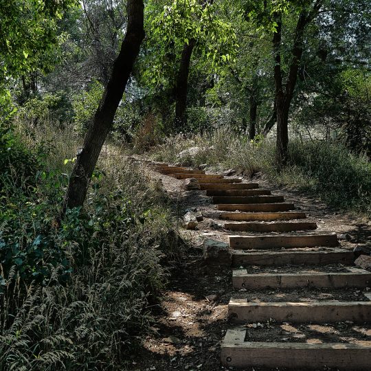 Forest path in APEX Park, Golden, Colorado